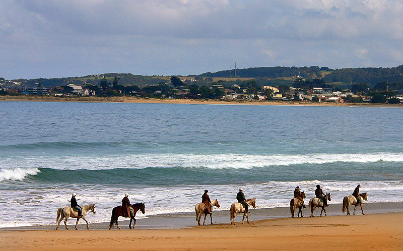 Sunrise to Sunset at Avoca Beach: Capturing the Majestic Beauty of NSW's Seaside